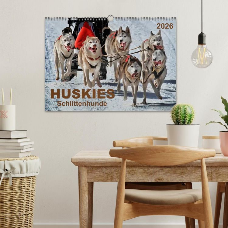 Produktbild: Huskies - Schlittenhunde (Wandkalender 2026 DIN A3 quer), CALVENDO Monatskalender