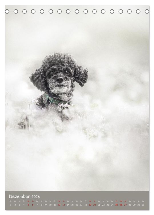 Produktbild: Flora Canidae - der Hunde-Bl&uuml;hpflanzen-Kalender (Tischkalender 2026 DIN A5 hoch), CALVENDO Monatskalender