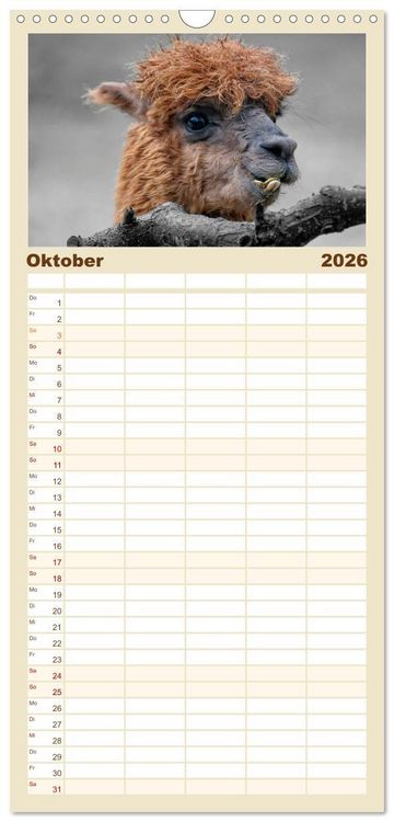 Produktbild: Familienplaner 2026 - Alpaka Gesichter mit 5 Spalten (Wandkalender, 21 x 45 cm) CALVENDO