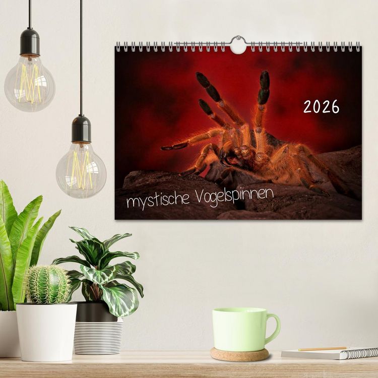 Produktbild: Mystische Vogelspinnen (Wandkalender 2026 DIN A4 quer), CALVENDO Monatskalender