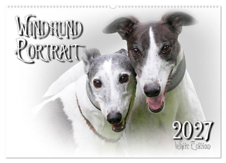 Produktbild: Windhund Portrait 2027 White Edition (Wandkalender 2027 DIN A2 quer), CALVENDO Monatskalender