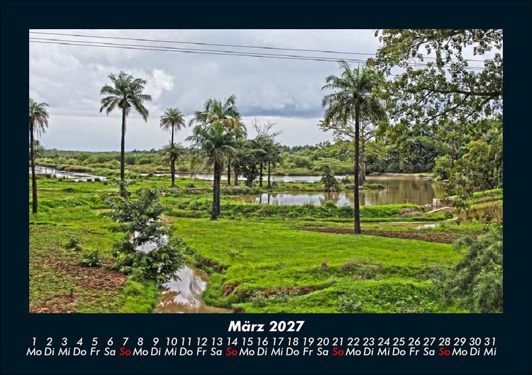 Produktbild: Palmentraum 2027 Fotokalender DIN A5