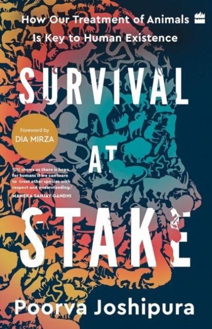 Produktbild: Survival at Stake
