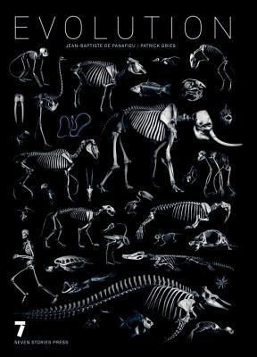 Produktbild: Evolution