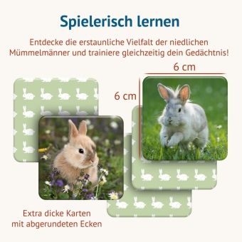 Produktbild: Doppel Hoppel Memospiel