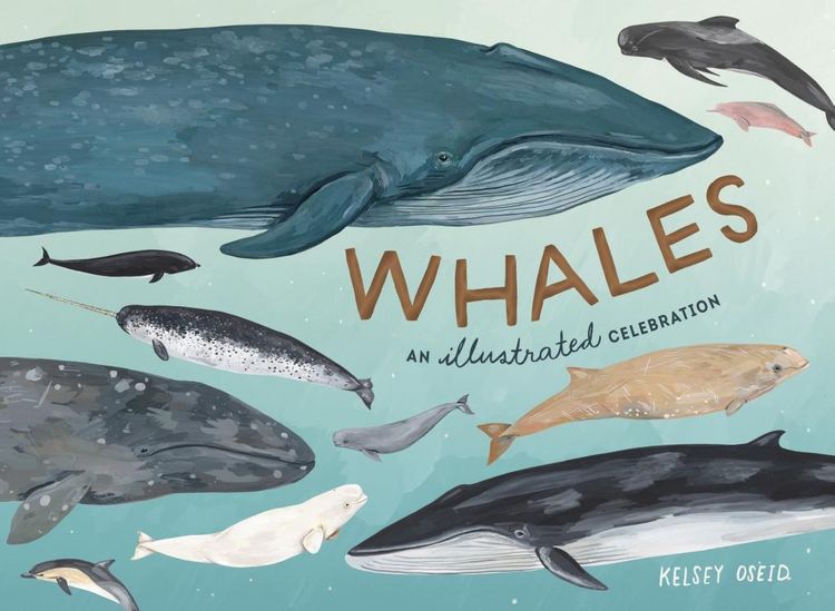 Produktbild: Whales