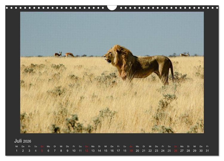 Produktbild: Facetten Namibias (Wandkalender 2026 DIN A3 quer), CALVENDO Monatskalender