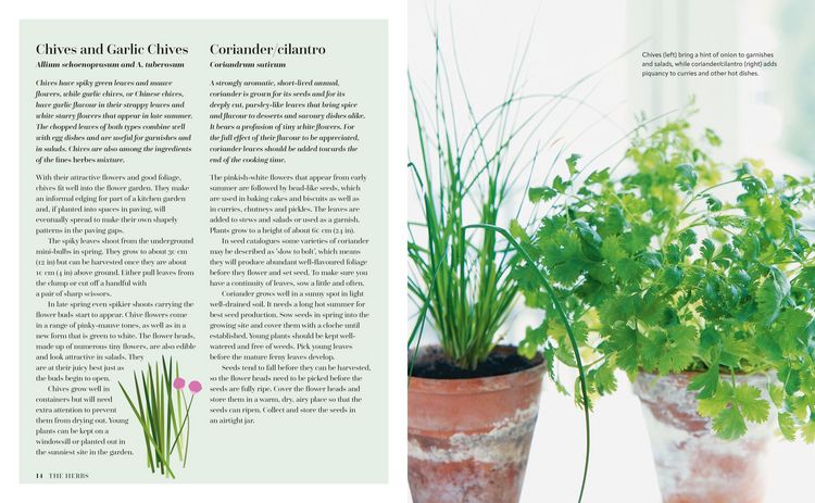 Produktbild: The Herb Kitchen