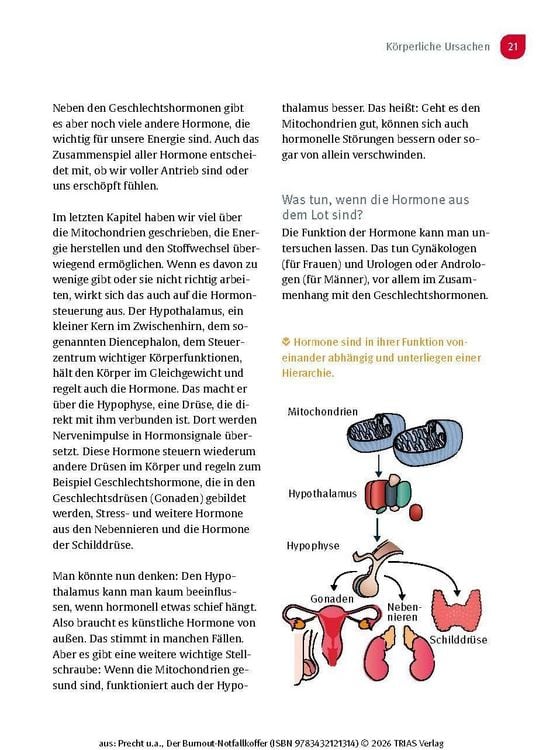 Produktbild: Der Burnout-Notfallkoffer