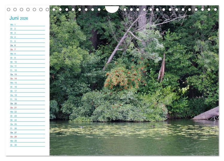 Produktbild: Urlaubsparadies Scharm&uuml;tzelsee (Wandkalender 2026 DIN A4 quer), CALVENDO Monatskalender
