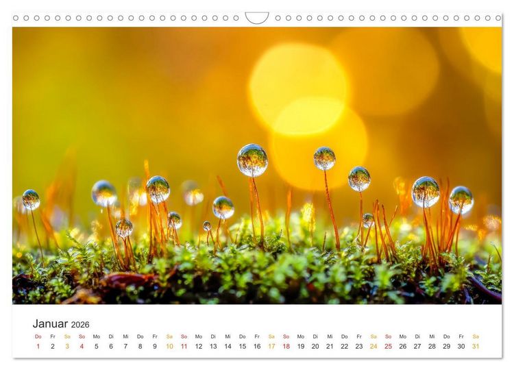 Produktbild: Zauber der Tropfen (Wandkalender 2026 DIN A3 quer), CALVENDO Monatskalender
