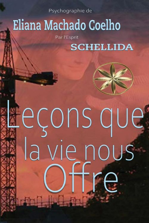 Produktbild: Le&ccedil;ons que la vie nous offre
