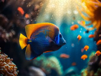 Produktbild: CALVENDO Puzzle m Meer gibt es keine Montageprobleme - alles schwimmt einfach davon | 1000 Teile Lege-Gr&ouml;&szlig;e 64x48cm Foto-Puzzle f&uuml;r gl&uuml;ckliche Stunden