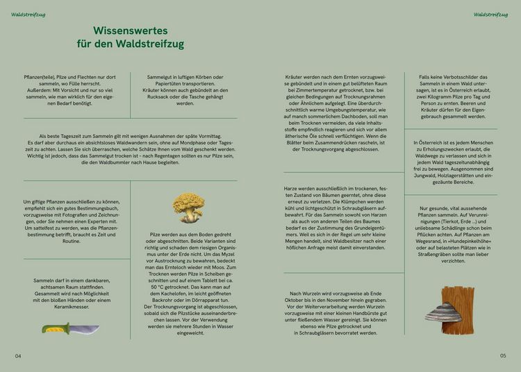 Produktbild: Die gro&szlig;e Waldapotheke
