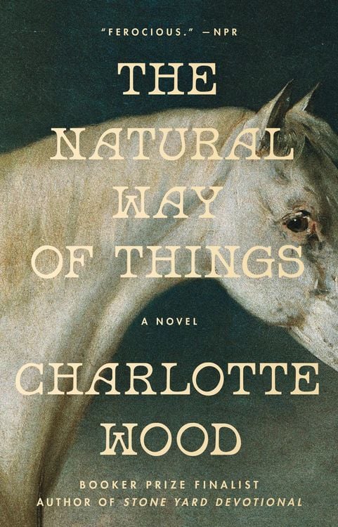 Produktbild: The Natural Way of Things
