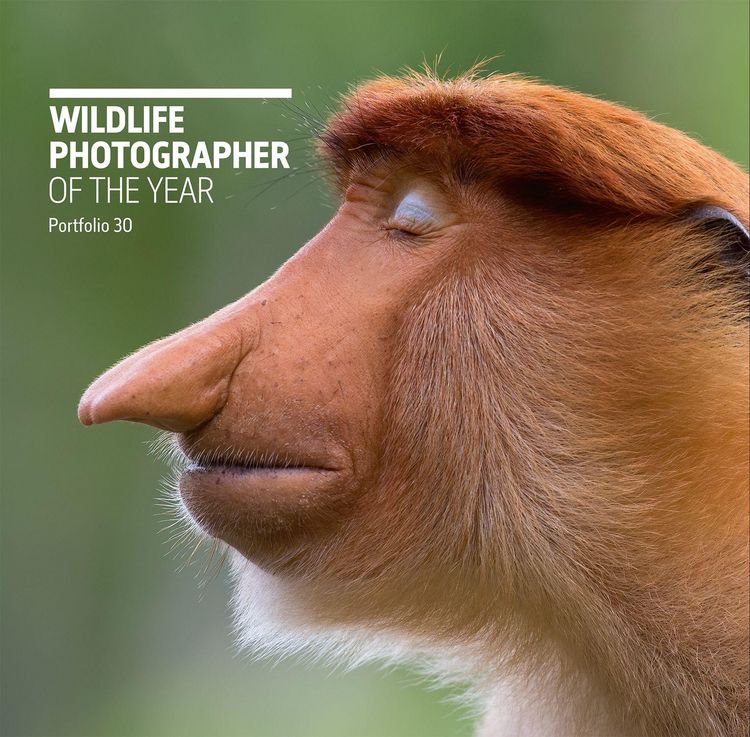 Produktbild: Wildlife Photographer of the Year: Portfolio 30