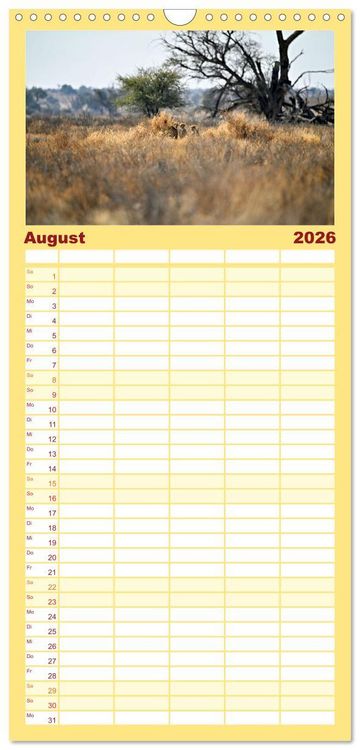 Produktbild: Familienplaner 2026 - Kgalagadi - Fauna und Wildtiere in der Kalahari mit 5 Spalten (Wandkalender, 21 x 45 cm) CALVENDO