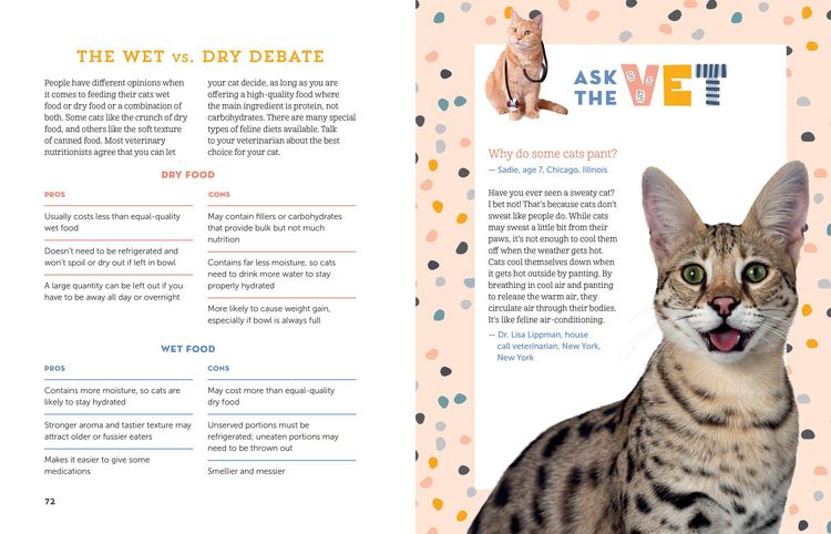 Produktbild: A Kid's Guide to Cats