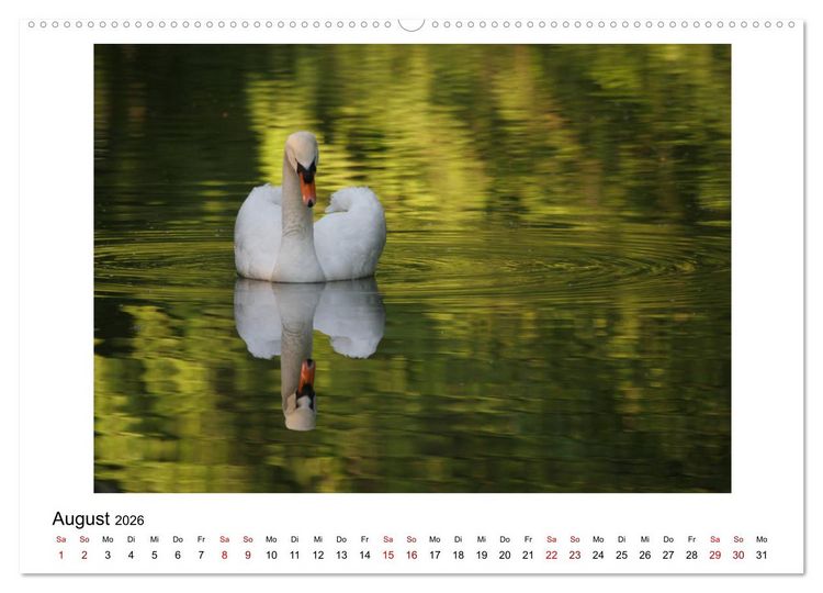 Produktbild: Nymphenburger Park (Wandkalender 2026 DIN A2 quer), CALVENDO Monatskalender