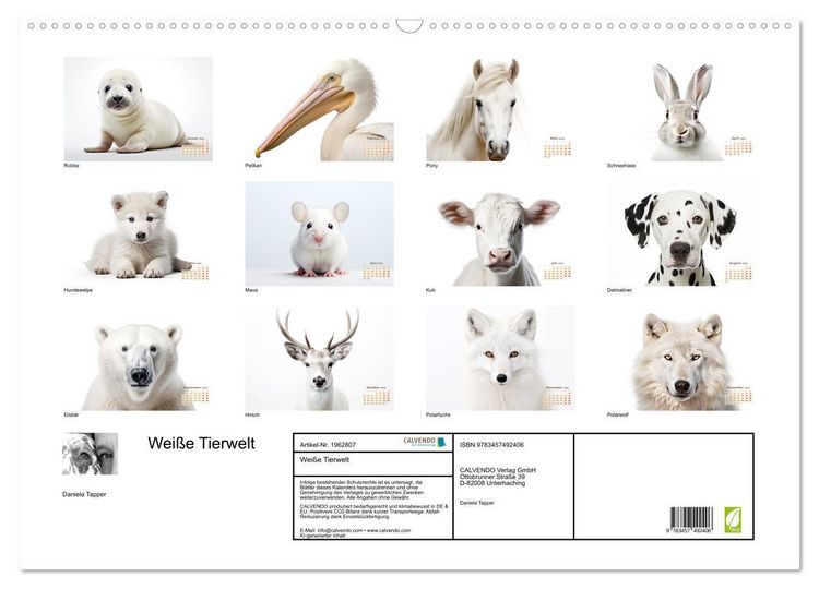 Produktbild: Wei&szlig;e Tierwelt (Wandkalender 2026 DIN A2 quer), CALVENDO Monatskalender