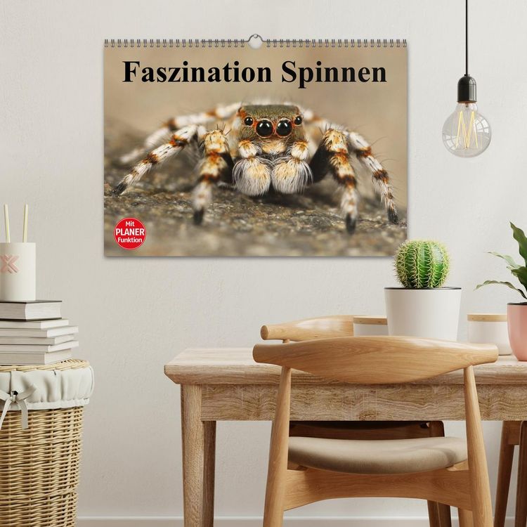 Produktbild: Faszination Spinnen (Wandkalender 2026 DIN A3 quer), CALVENDO Monatskalender