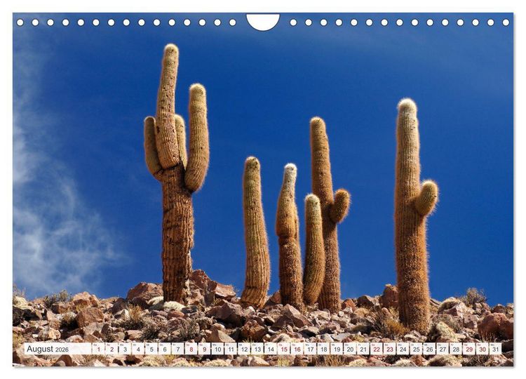 Produktbild: Magie dieses S&uuml;damerikanischen Landes, Chile (Wandkalender 2026 DIN A4 quer), CALVENDO Monatskalender