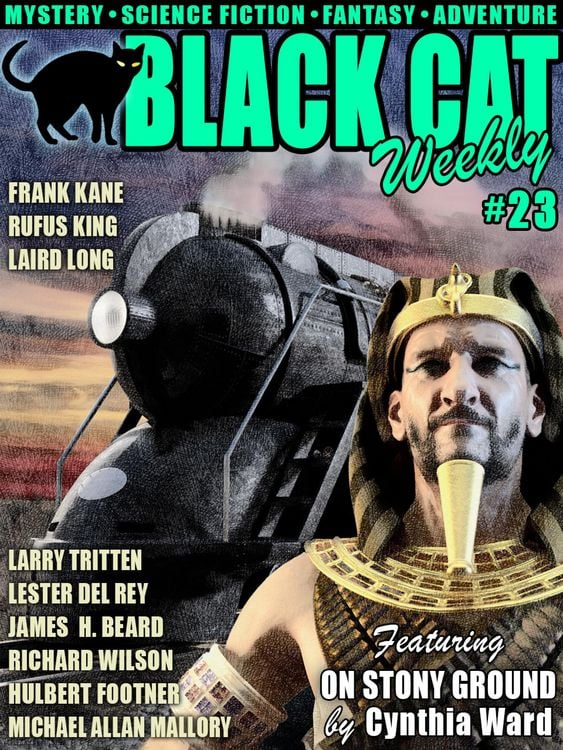 Produktbild: Black Cat Weekly #23