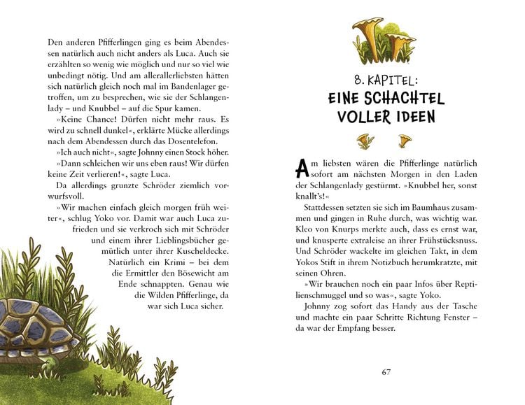Produktbild: Die wilden Pfifferlinge &ndash; Schildkr&ouml;tenalarm