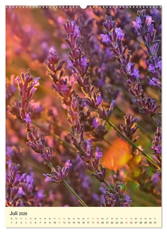 Produktbild: Provence Lavendel Paradies (Wandkalender 2026 DIN A2 hoch), CALVENDO Monatskalender