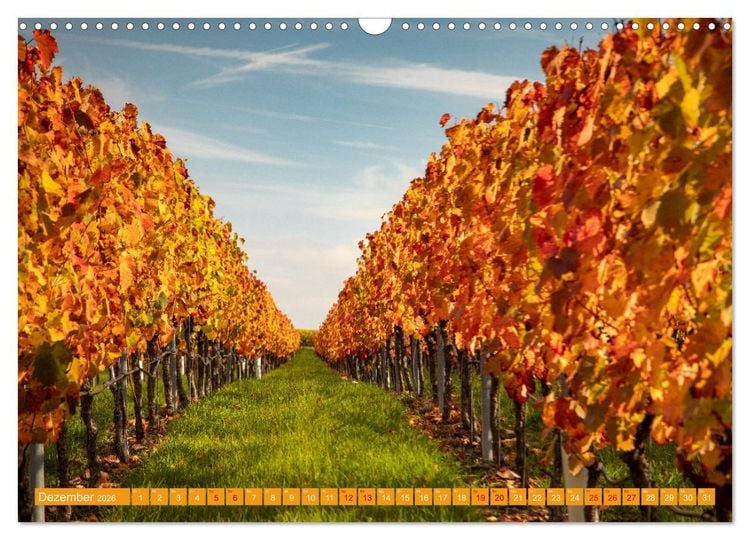 Produktbild: Indian Summer in Baden-W&uuml;rttemberg (Wandkalender 2026 DIN A3 quer), CALVENDO Monatskalender