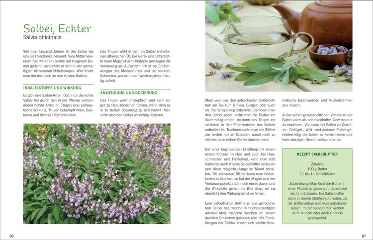 Produktbild: Antibiotische Heilpflanzen