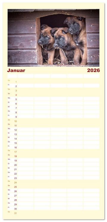 Produktbild: Familienplaner 2026 - Traumhund Malinois mit 5 Spalten (Wandkalender, 21 x 45 cm) CALVENDO