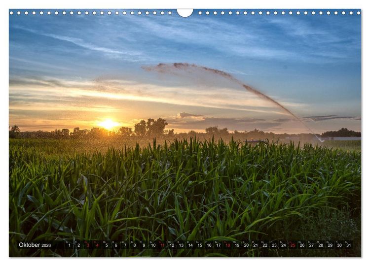Produktbild: Ketsch am Rhein (Wandkalender 2026 DIN A3 quer), CALVENDO Monatskalender