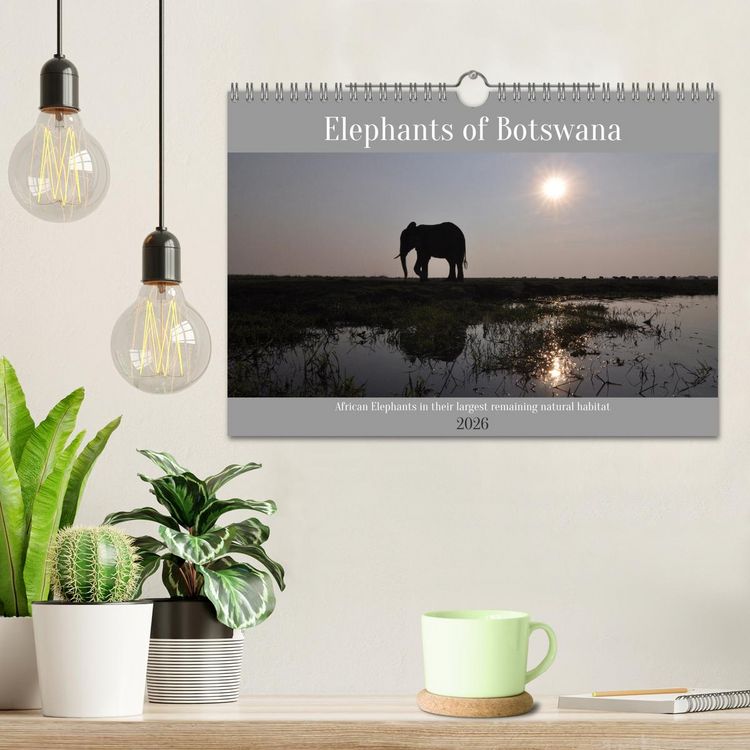 Produktbild: Elephants of Botswana (Wall Calendar 2026 DIN A4 landscape), CALVENDO 12 Month Wall Calendar