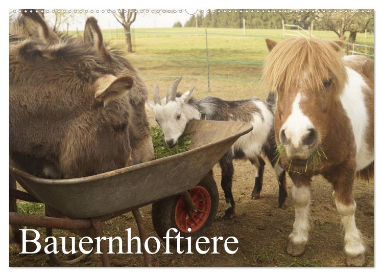 Produktbild: Bauernhoftiere (Wandkalender 2026 DIN A2 quer), CALVENDO Monatskalender