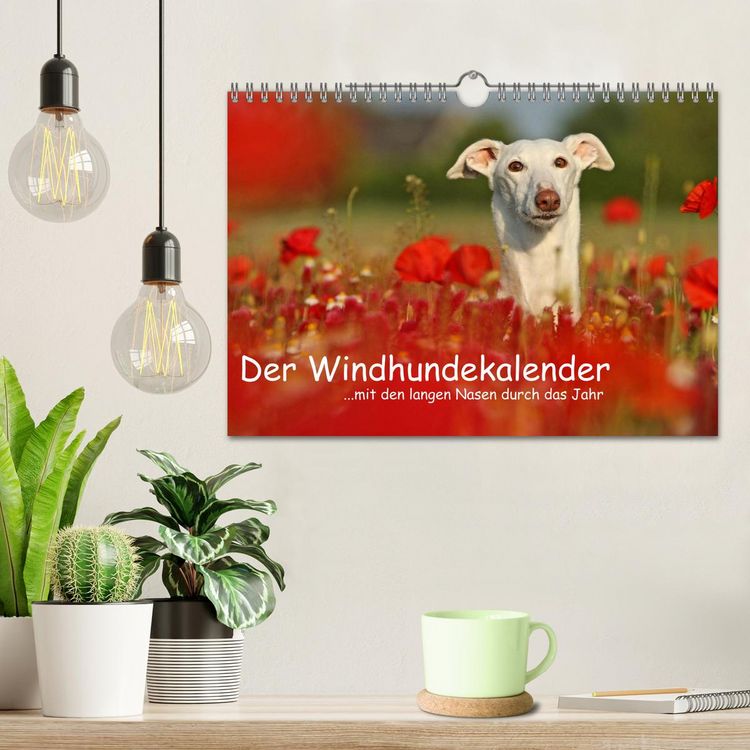 Produktbild: Der Windhundekalender (Wandkalender 2026 DIN A4 quer), CALVENDO Monatskalender