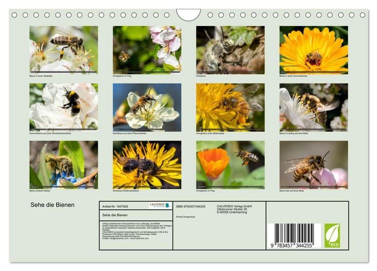 Produktbild: Sehe die Bienen (Wandkalender 2026 DIN A4 quer), CALVENDO Monatskalender