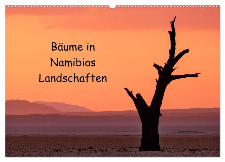 Produktbild: B&auml;ume in Namibias Landschaften (Wandkalender 2026 DIN A2 quer), CALVENDO Monatskalender