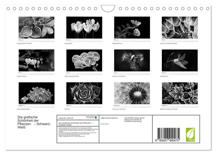 Produktbild: Die grafische Sch&ouml;nheit der Pflanzen &ndash; Schwarz-Wei&szlig; (Wandkalender 2026 DIN A4 quer), CALVENDO Monatskalender