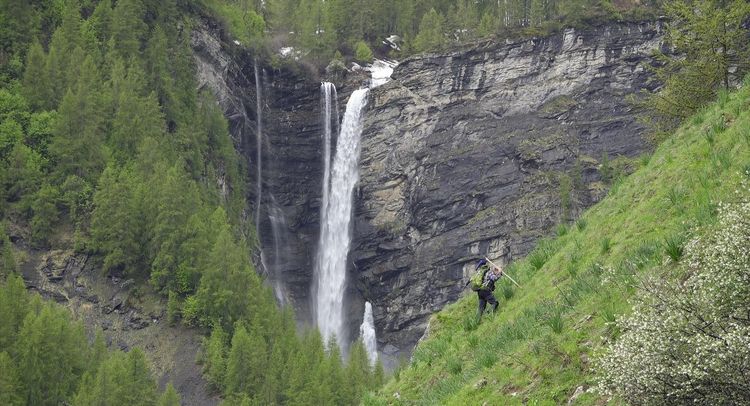 Produktbild: Wolf Walk - Auf der Spur der W&ouml;lfe