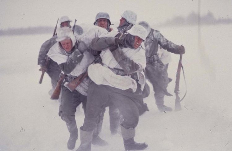 Produktbild: Stalingrad - Bis zum letzten Mann