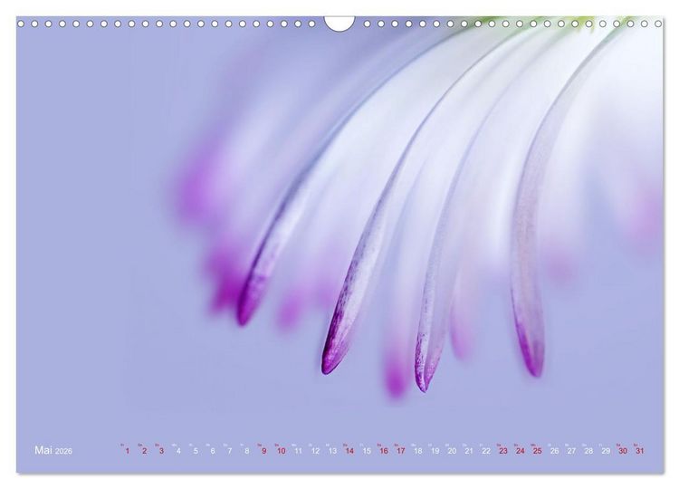 Produktbild: DEEP INSIDE - Bl&uuml;tenmakros (Wandkalender 2026 DIN A3 quer), CALVENDO Monatskalender