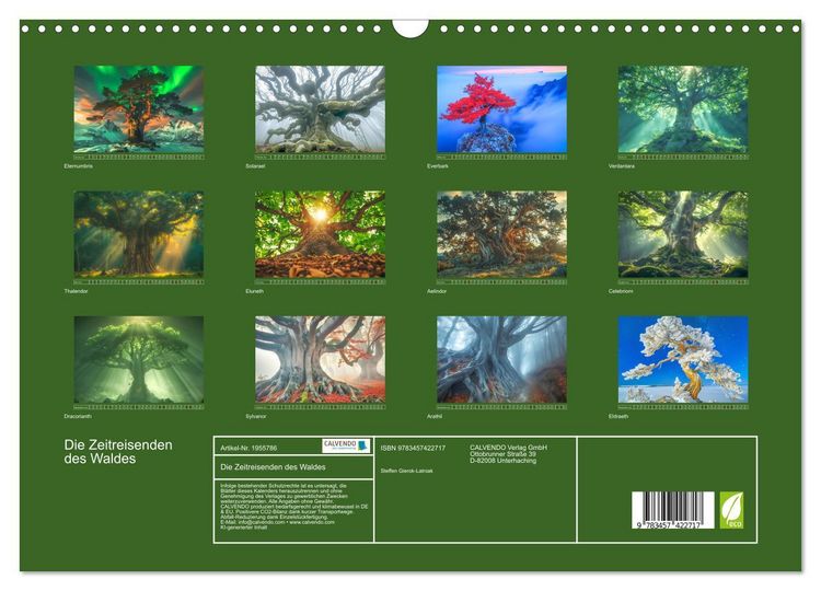 Produktbild: Die Zeitreisenden des Waldes (Wandkalender 2026 DIN A3 quer), CALVENDO Monatskalender