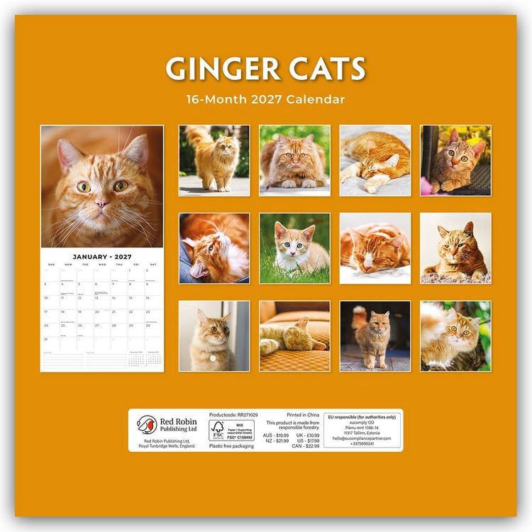 Produktbild: Ginger Cats &ndash; Rote Katzen &ndash; Gingerkatzen 2027 &ndash; 16-Monatskalender