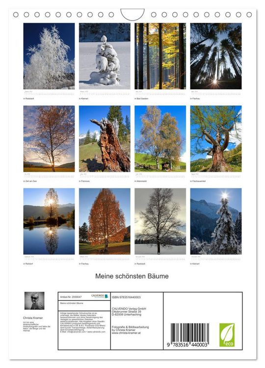 Produktbild: Meine sch&ouml;nsten B&auml;ume (Wandkalender 2026 DIN A4 hoch), CALVENDO Monatskalender