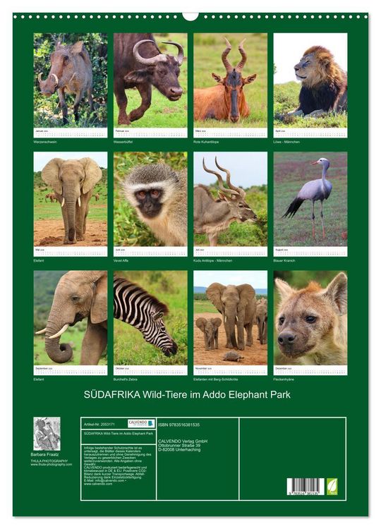 Produktbild: S&Uuml;DAFRIKA Wild-Tiere im Addo Elephant Park (Wandkalender 2026 DIN A2 hoch), CALVENDO Monatskalender