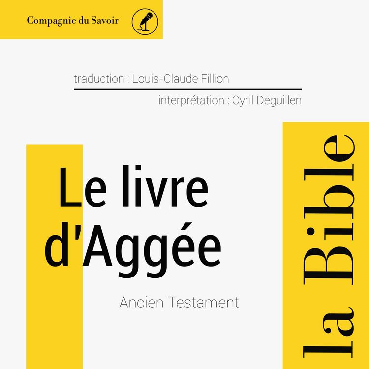Produktbild: Le livre d'Agg&eacute;e