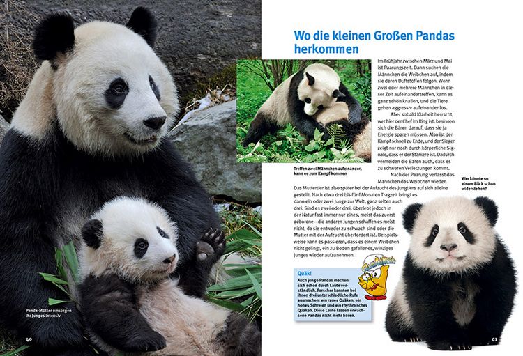 Produktbild: Entdecke die Pandas