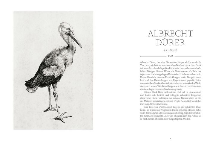 Produktbild: V&ouml;gel in der Kunst