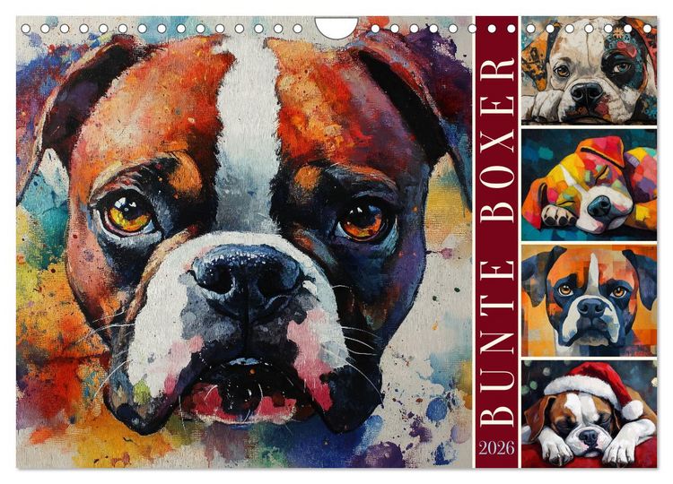 Produktbild: Bunte Boxer (Wandkalender 2026 DIN A4 quer), CALVENDO Monatskalender